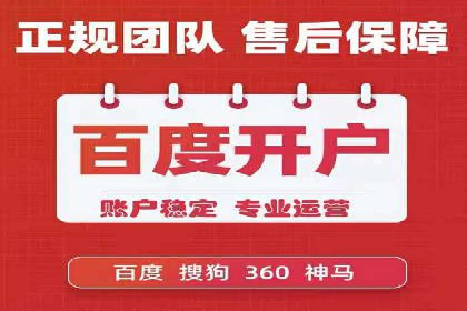 行业领先SEM服务公司案例研究
